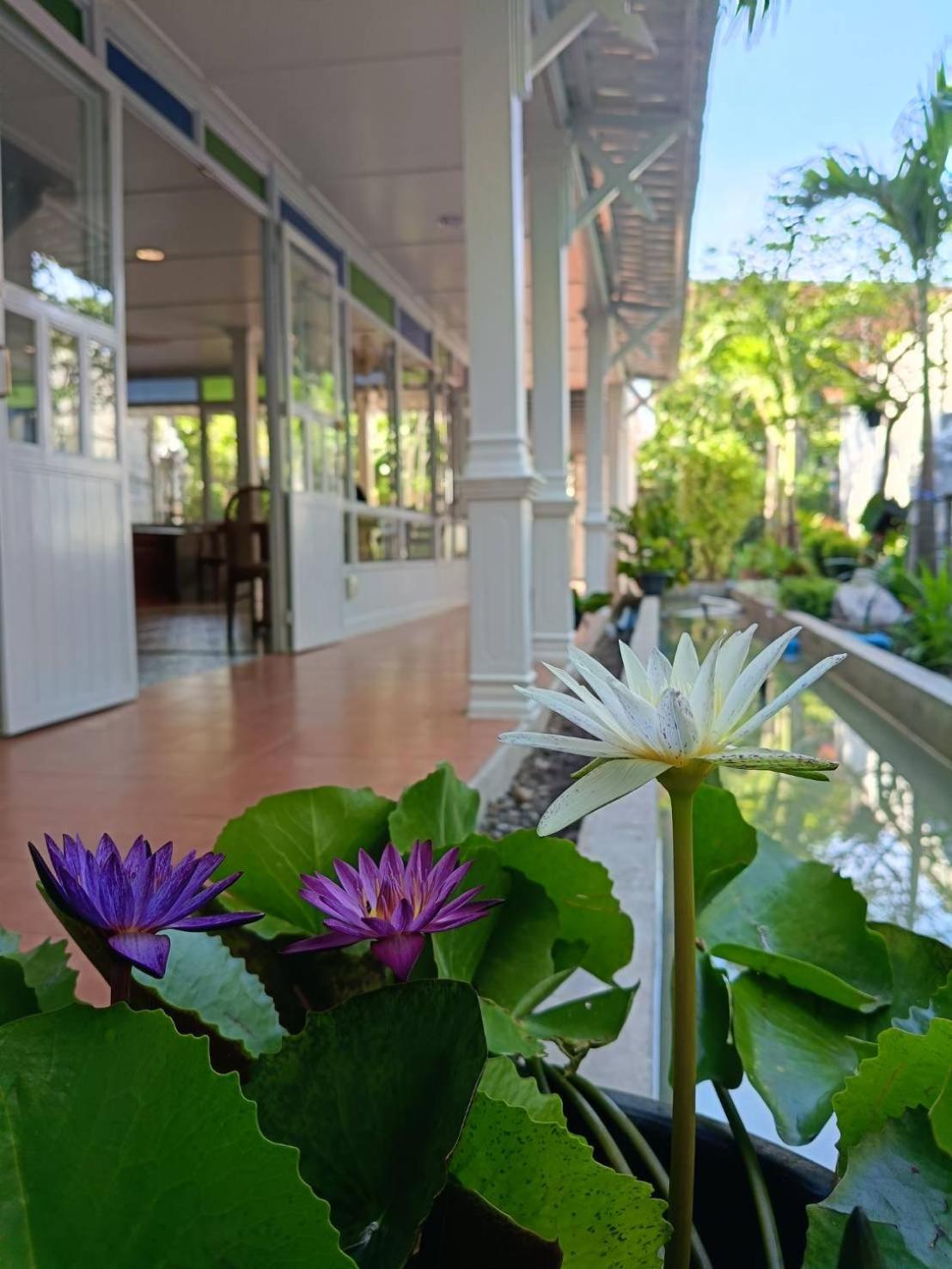 Baan Debtida Hotel Bangkok Exterior photo